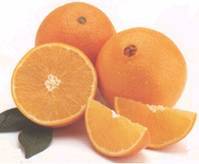 Delicious looking oranges.